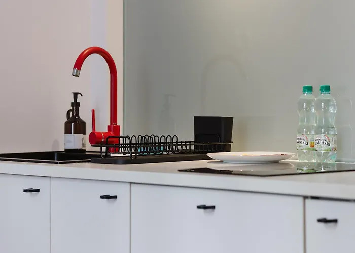 Wilson Park Loft With Mezzanine By Bookinghost Poznań